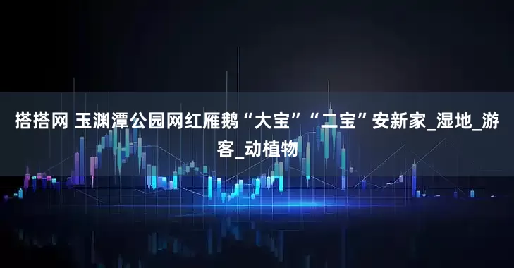 搭搭网 玉渊潭公园网红雁鹅“大宝”“二宝”安新家_湿地_游客_动植物