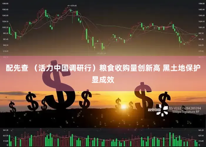 配先查 （活力中国调研行）粮食收购量创新高 黑土地保护显成效