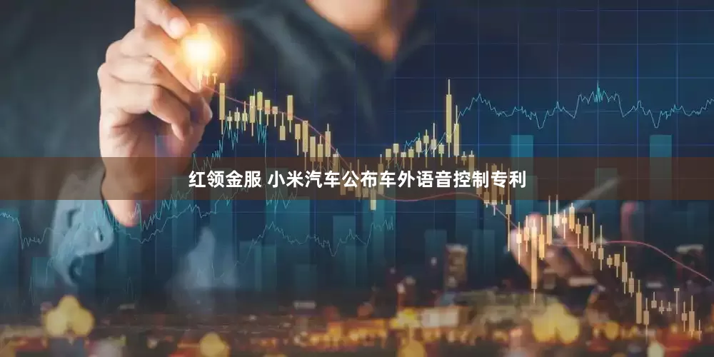 红领金服 小米汽车公布车外语音控制专利