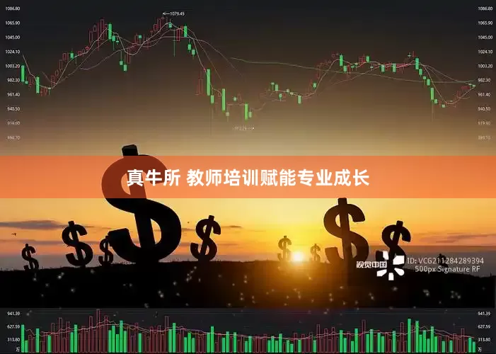 真牛所 教师培训赋能专业成长